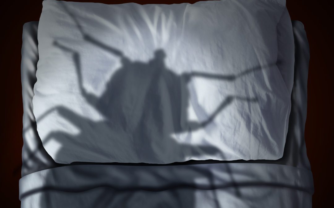 Can I Sue for Bed Bug Bites?