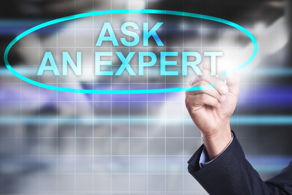 define expert witness