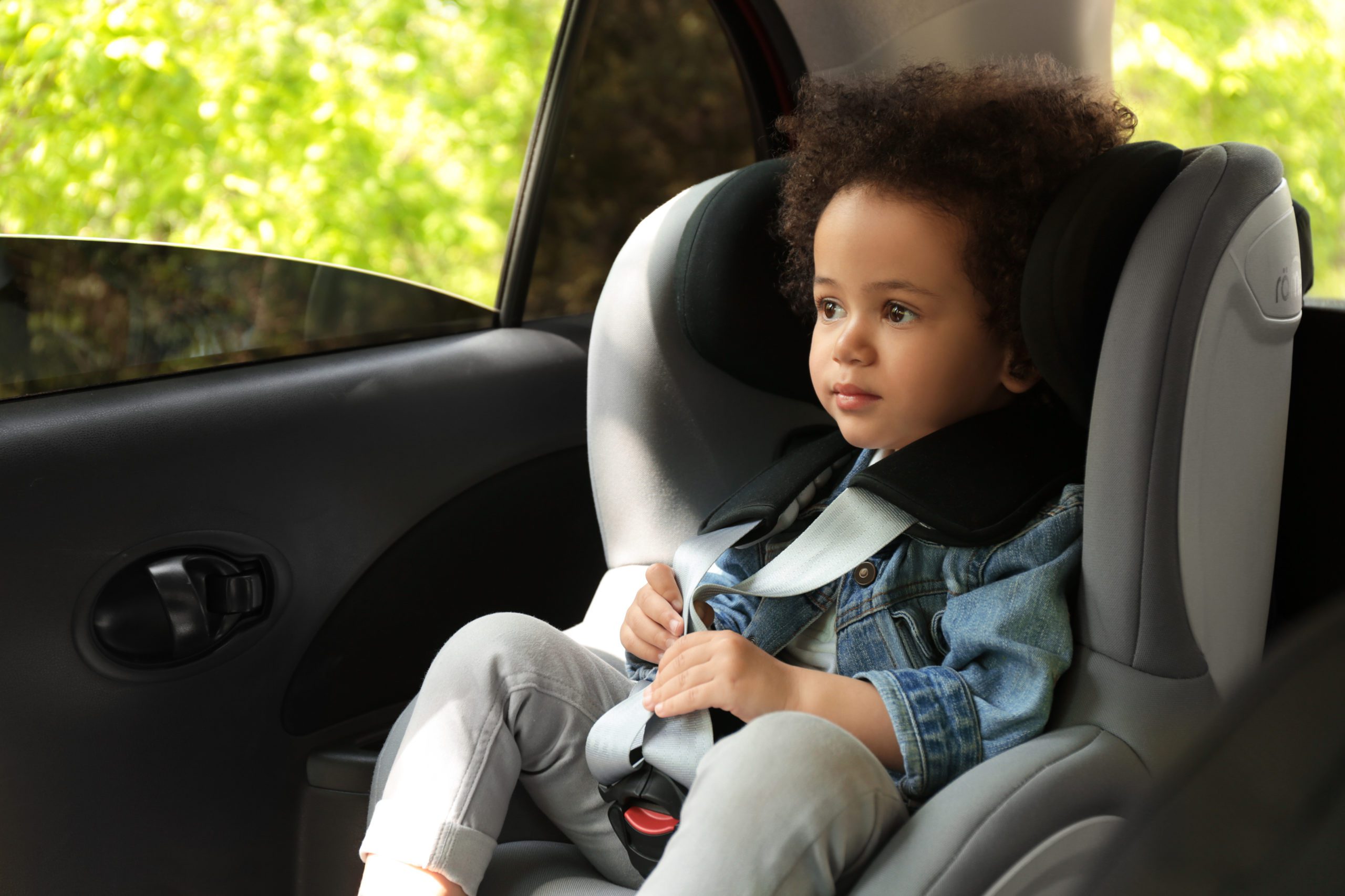 South Carolina's Child Passenger Safety & Restraint Laws